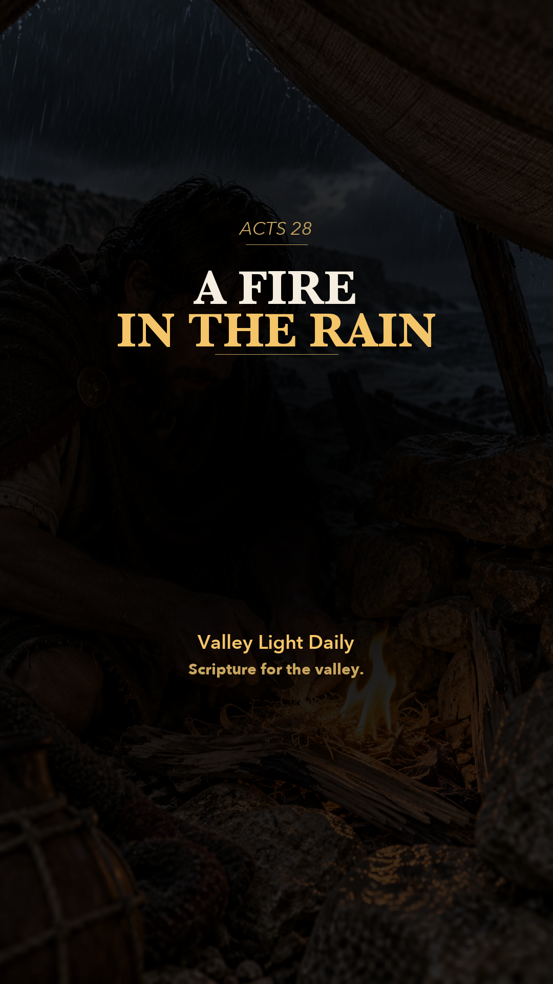 A Fire in the Rain cover