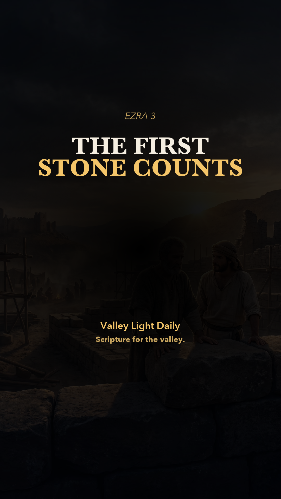 The First Stone Counts. cover