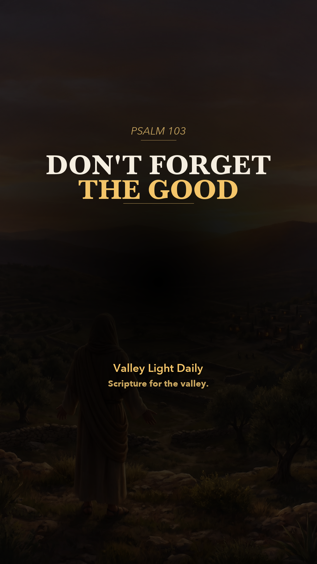 Don't Forget The Good. cover