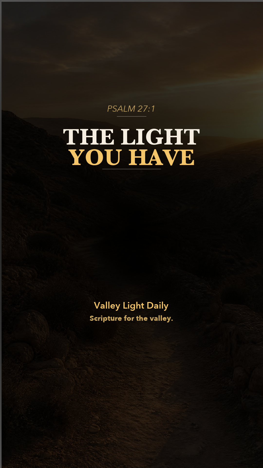 The Light You Have. cover