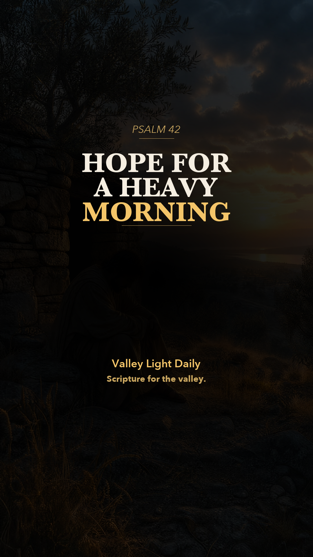 Hope for a Heavy Morning. cover