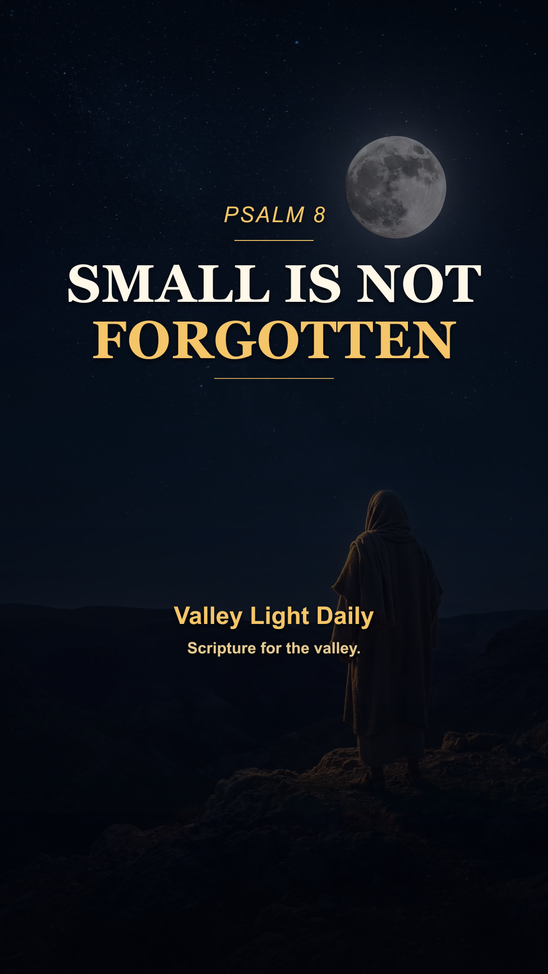 Small Is Not Forgotten cover